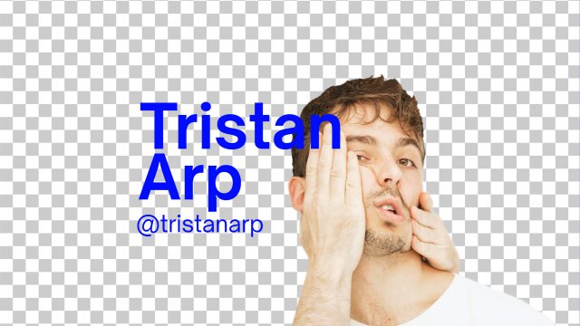 Mubert Artist: Tristan Arp — Mubert