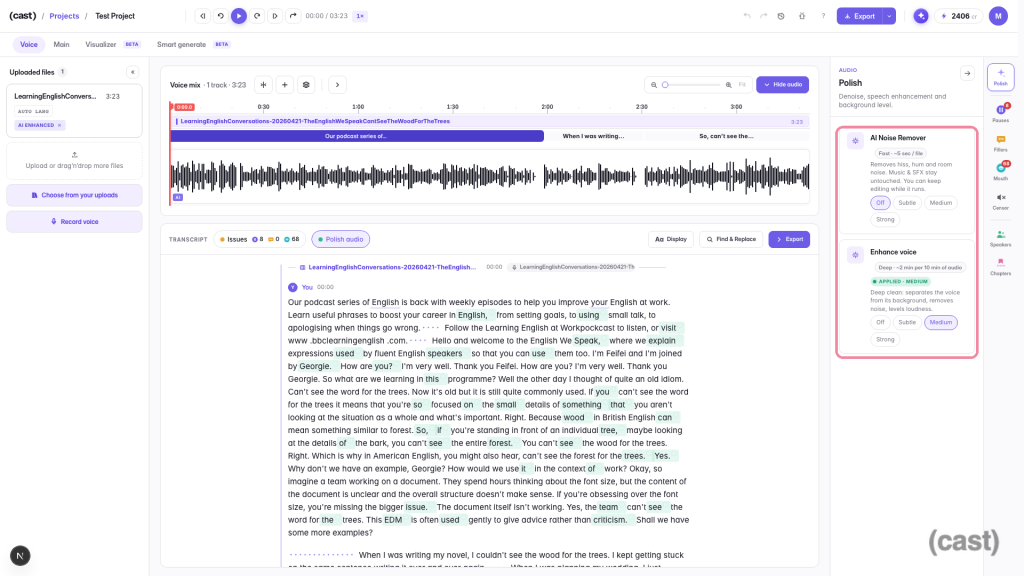 03-enhance-denoise – Mubert Screenshot of a podcast editing interface showing waveform, transcript, and Polish audio settings on the right panel.