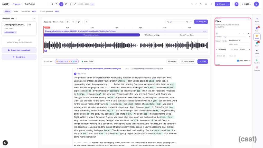 04-fillers-panel – Mubert Screenshot of an audio editing interface: project'LearningEnglishConversations', waveform with timeline, transcript pane, left file panel, right filters panel