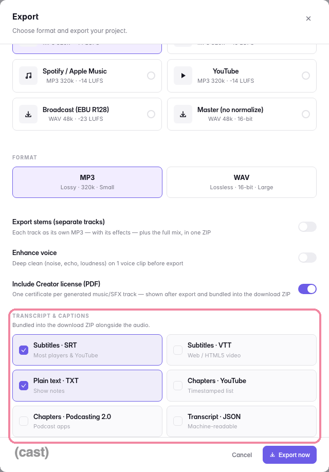 Export dialog with audio formats (MP3, WAV) and transcript options; SRT and TXT subtitling selected for YouTube captions.